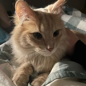 Meet your Posher, Maggie